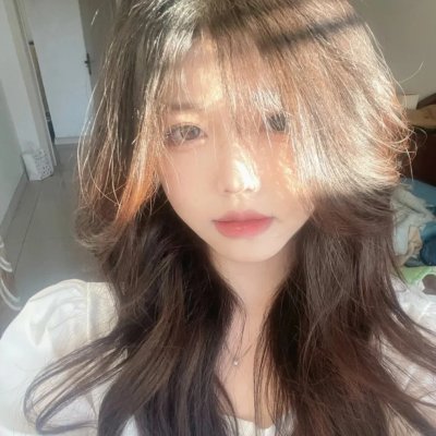 藏獒多吉